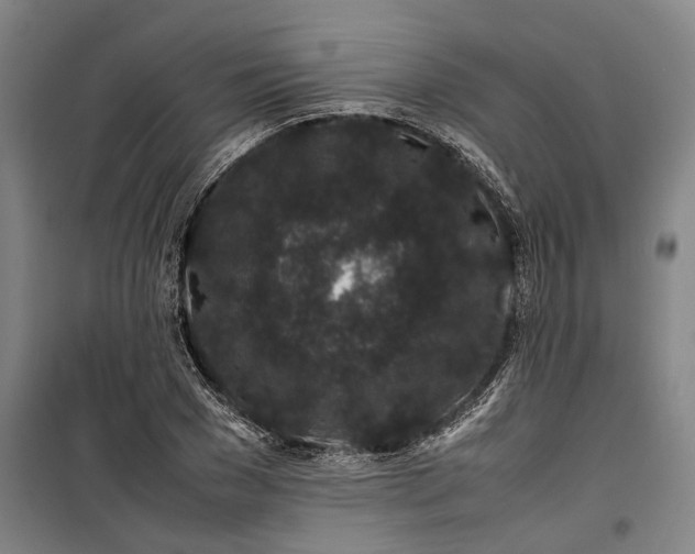 X0000099410977200805301342