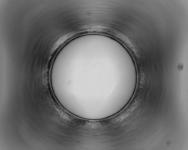 X0000099410978200805301342