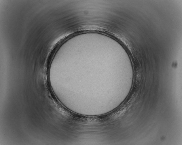 X0000099410979200805301342