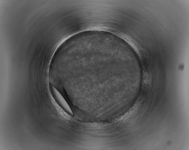 X0000099410980200805301342