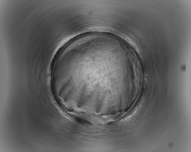 X0000099410981200805301342