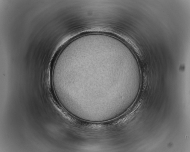 X0000099410982200805301342