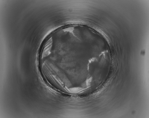 X0000099410983200805301342