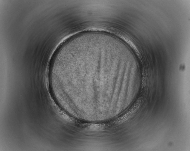 X0000099410984200805301342