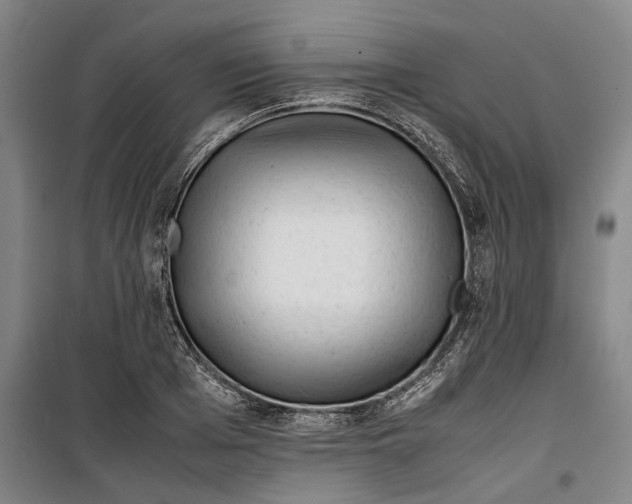 X0000099410985200805301342