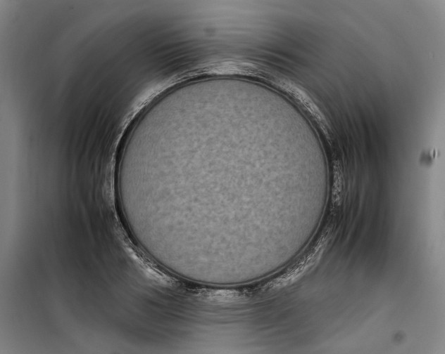 X0000099410986200805301342