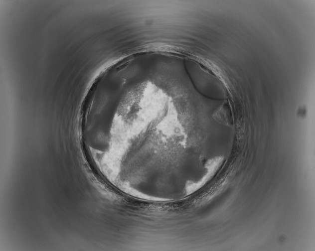 X0000099410987200805301342