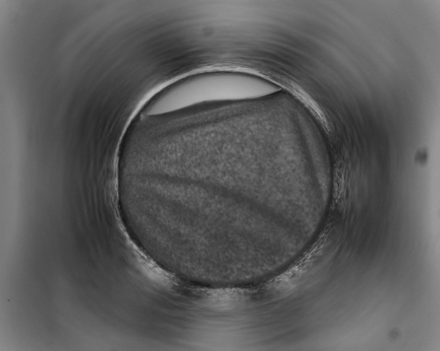 X0000099410988200805301342