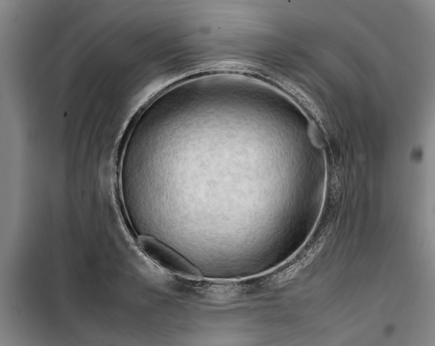 X0000099410989200805301342