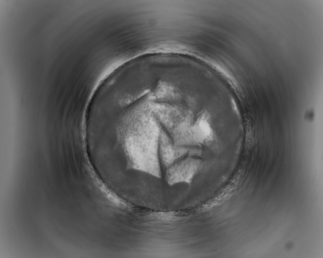 X0000099410990200805301342