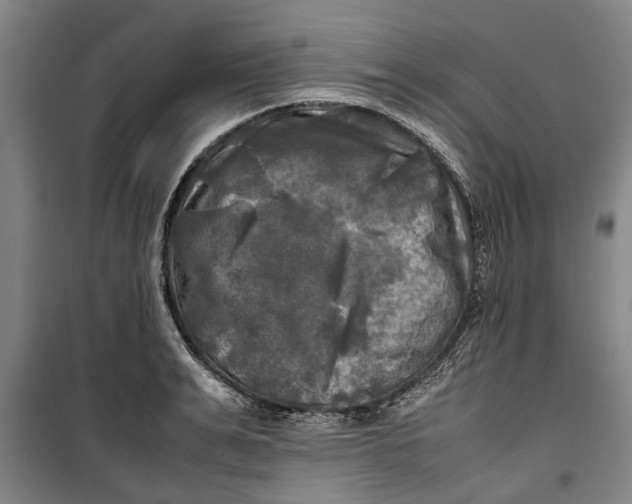 X0000099410991200805301342