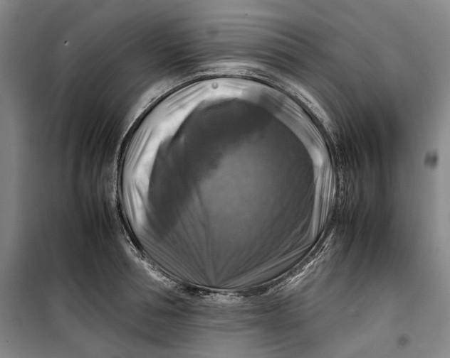 X0000099410994200805301342