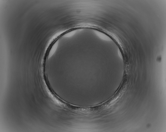 X0000099410995200805301342