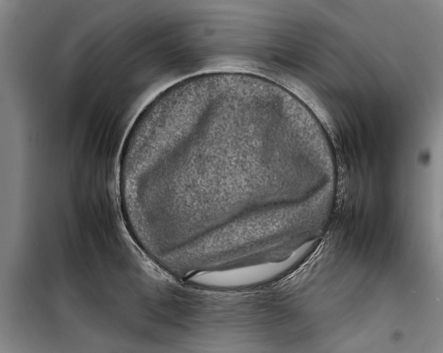 X0000099410996200805301342