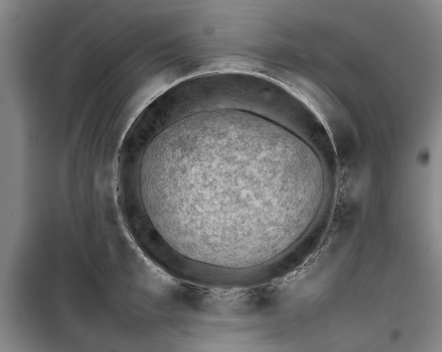 X0000099410997200805301342