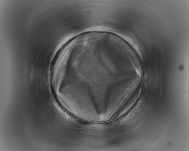 X0000099410998200805301342