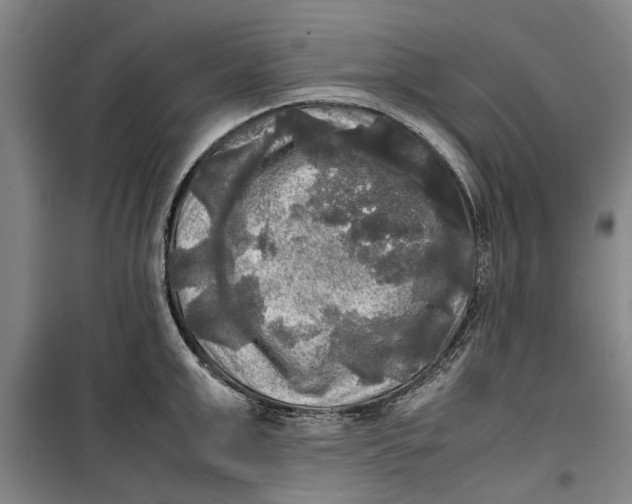 X0000099410999200805301342