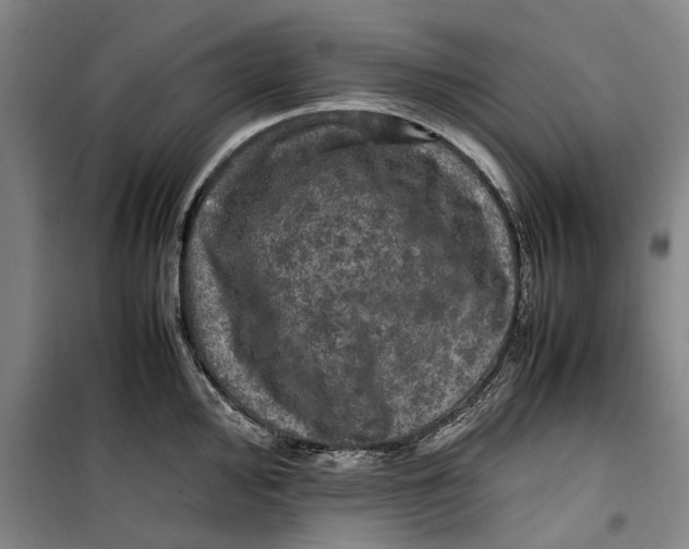 X0000099411000200805301342