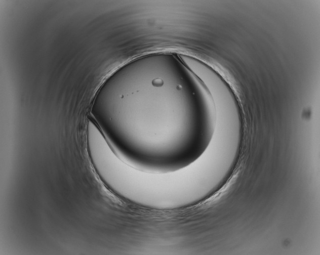 X0000099411001200805301342