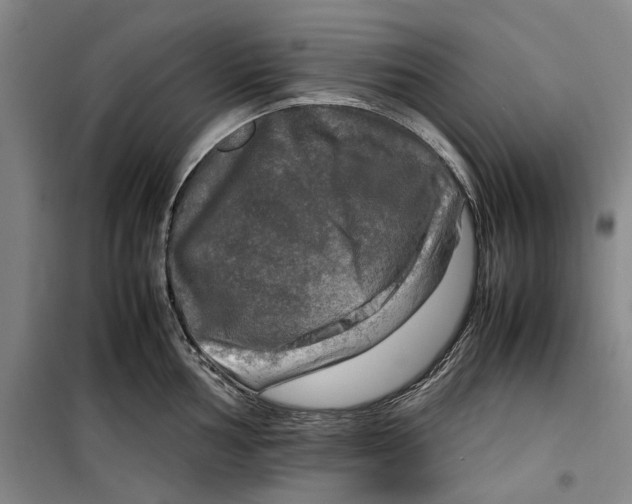 X0000099411002200805301342