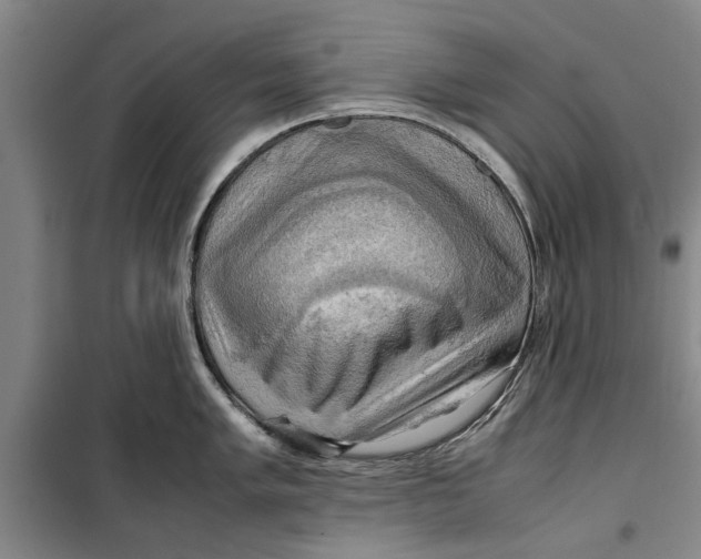 X0000099411005200805301341