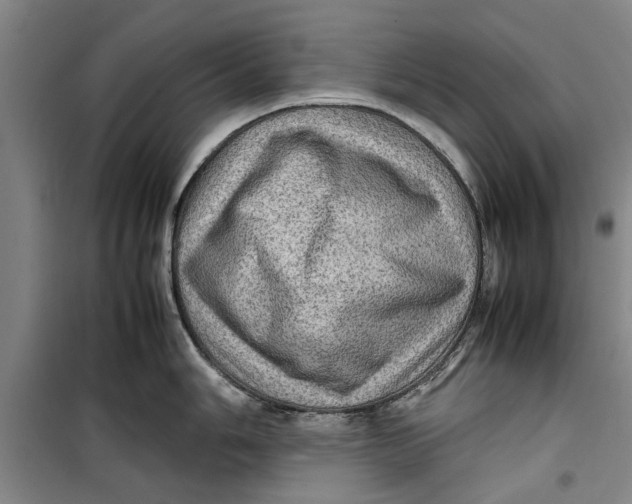 X0000099411006200805301341