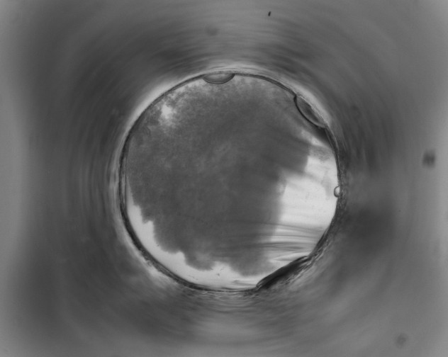 X0000099411007200805301341