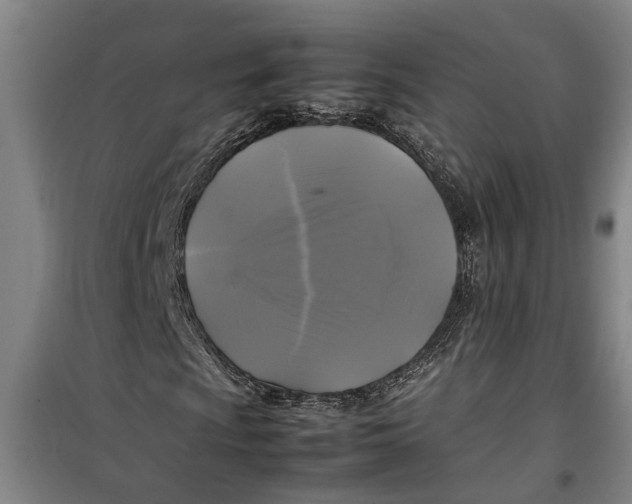 X0000099411009200805301341