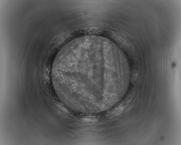 X0000099411010200805301341