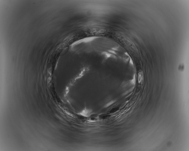 X0000099411011200805301341