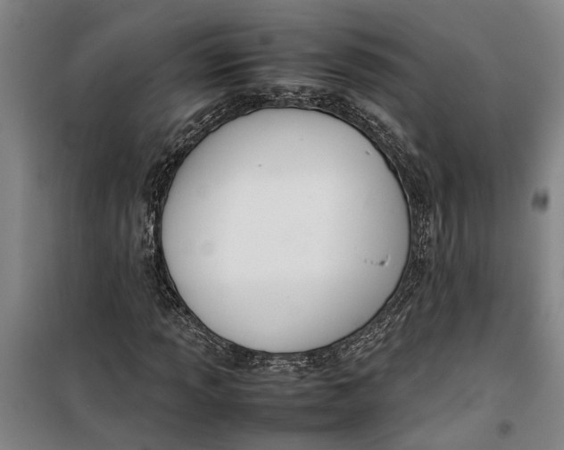 X0000099411013200805301341