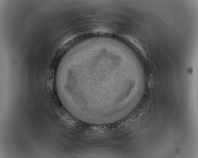 X0000099411015200805301341