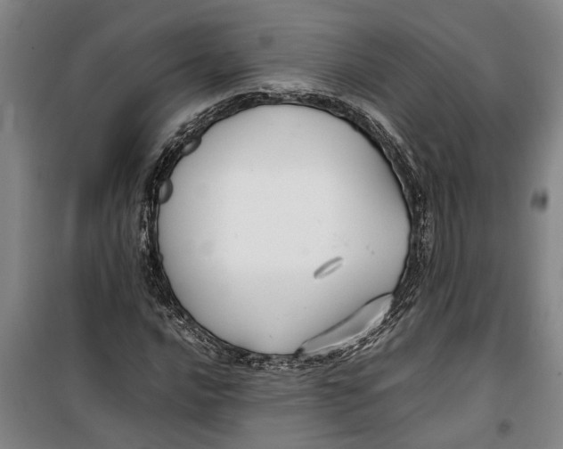 X0000099411016200805301341