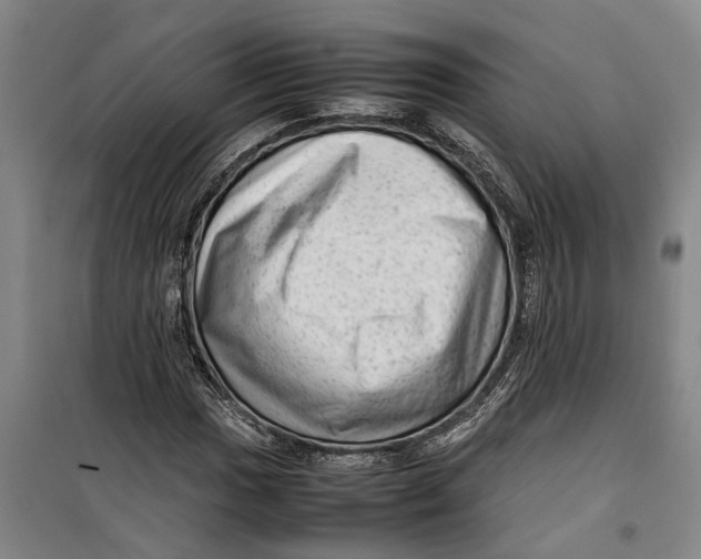 X0000099411017200805301341