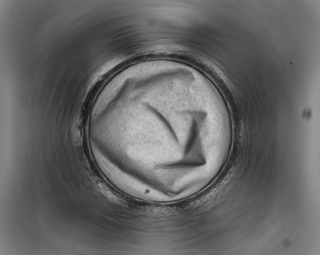 X0000099411018200805301341