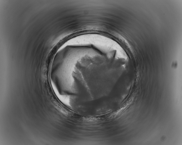 X0000099411019200805301341