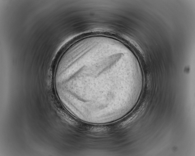 X0000099411021200805301341