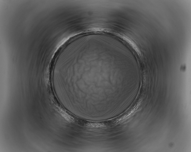 X0000099411023200805301341