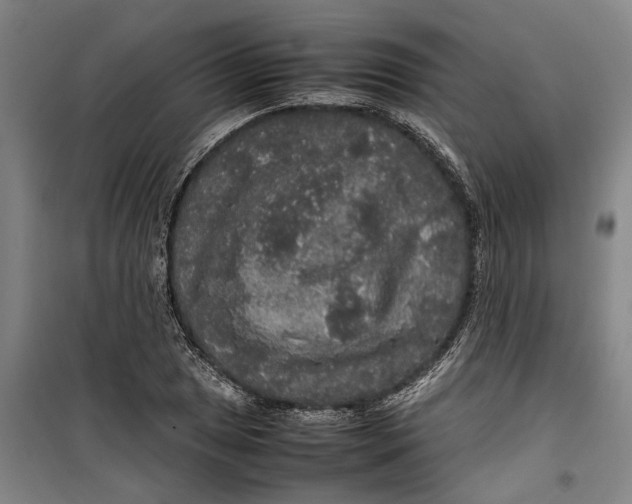 X0000099411025200805301341