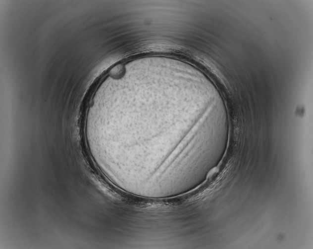 X0000099411026200805301341