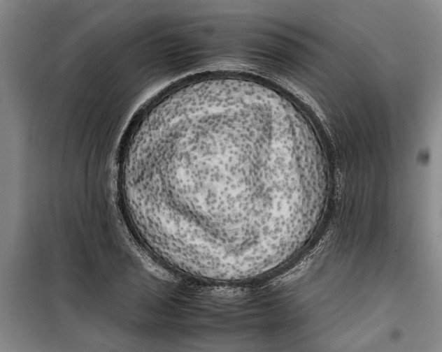 X0000099411029200805301341