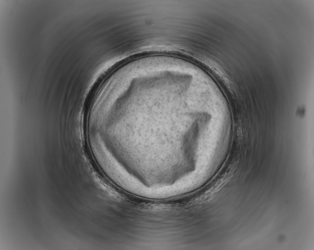 X0000099411030200805301341