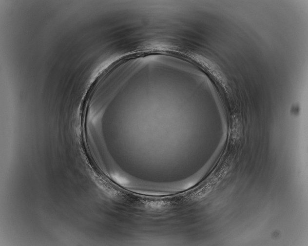 X0000099411031200805301341