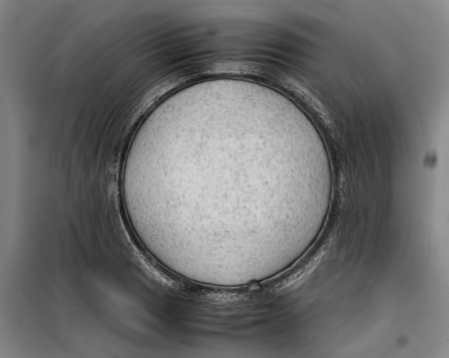 X0000099411033200805301341