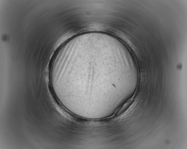 X0000099411034200805301341