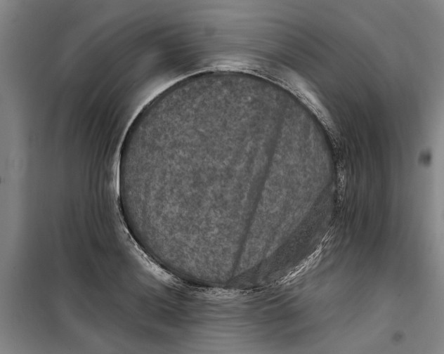 X0000099411036200805301341