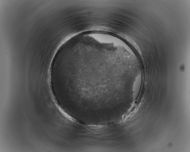 X0000099411037200805301341