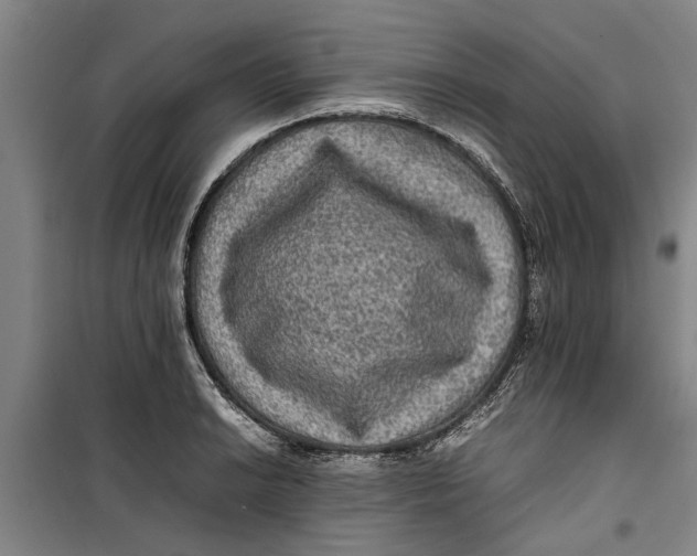 X0000099411038200805301341