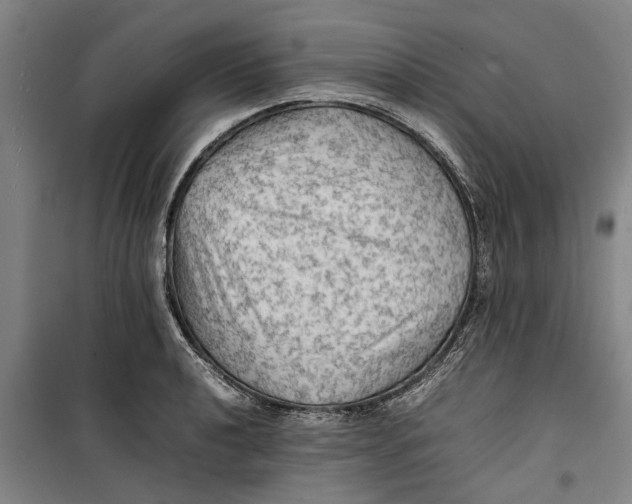 X0000099411040200805301341