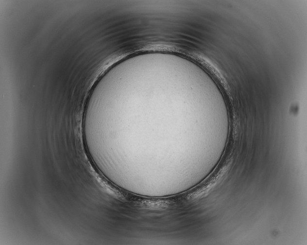 X0000099411041200805301341